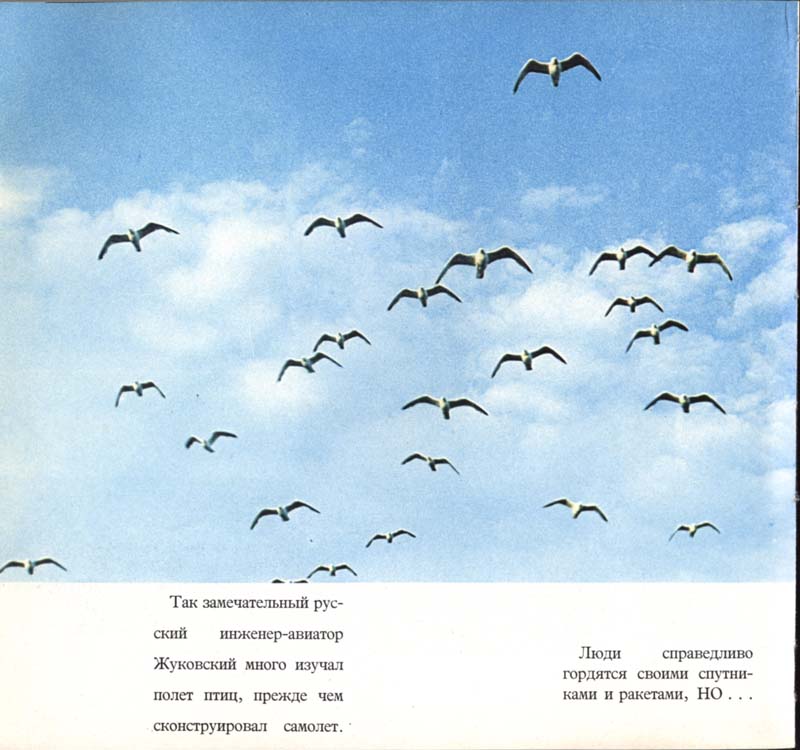 Otkuda 027